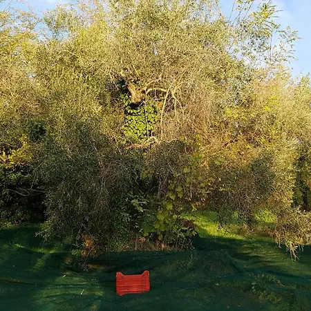 Βίλα A Casa Cerreta
